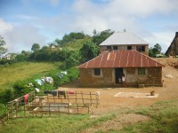 /album/fatubolo/fatubolo-ermera-10-jpg/